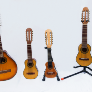 Bandurria Cusqueña marca Ordoñez